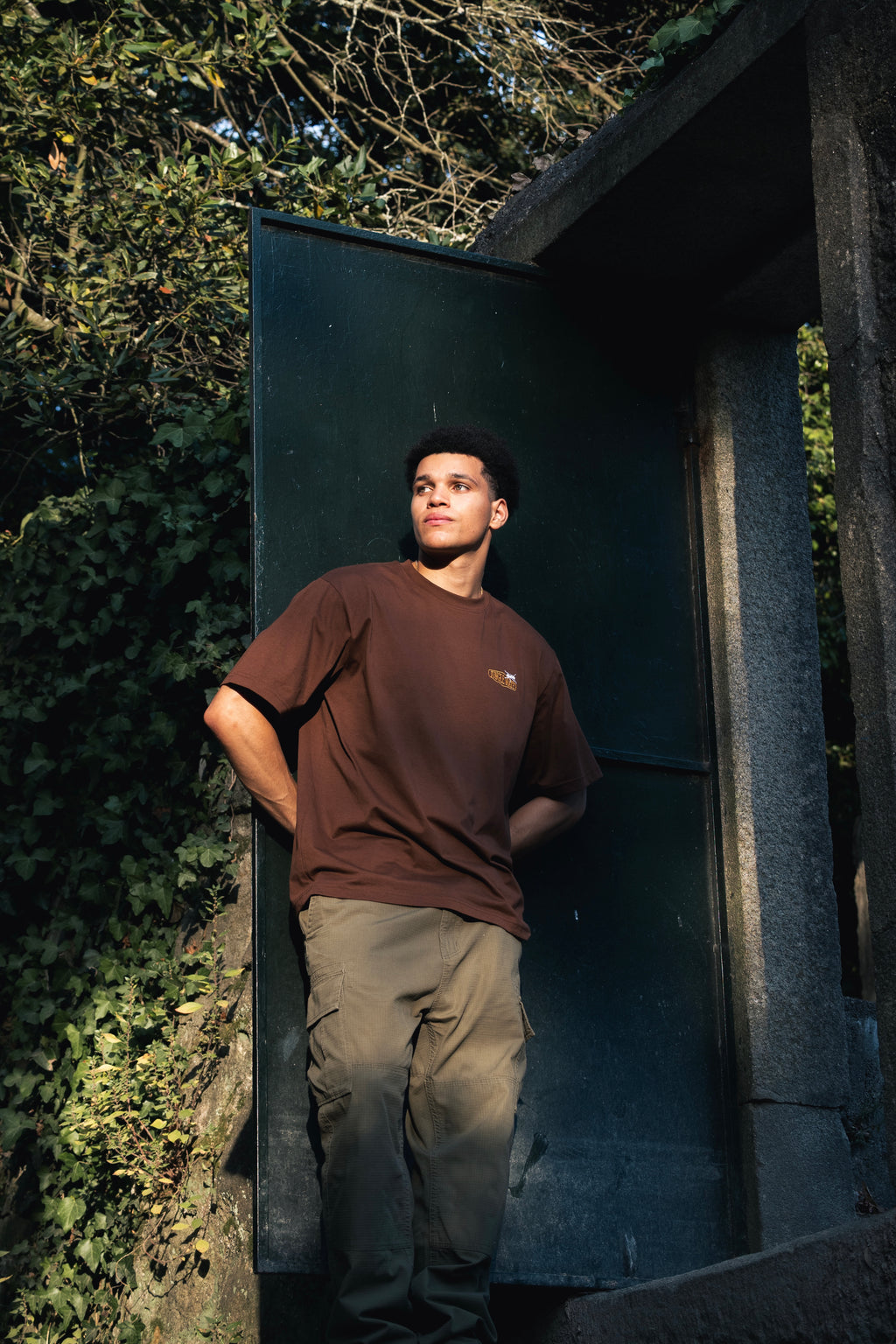 ANT TEE BROWN