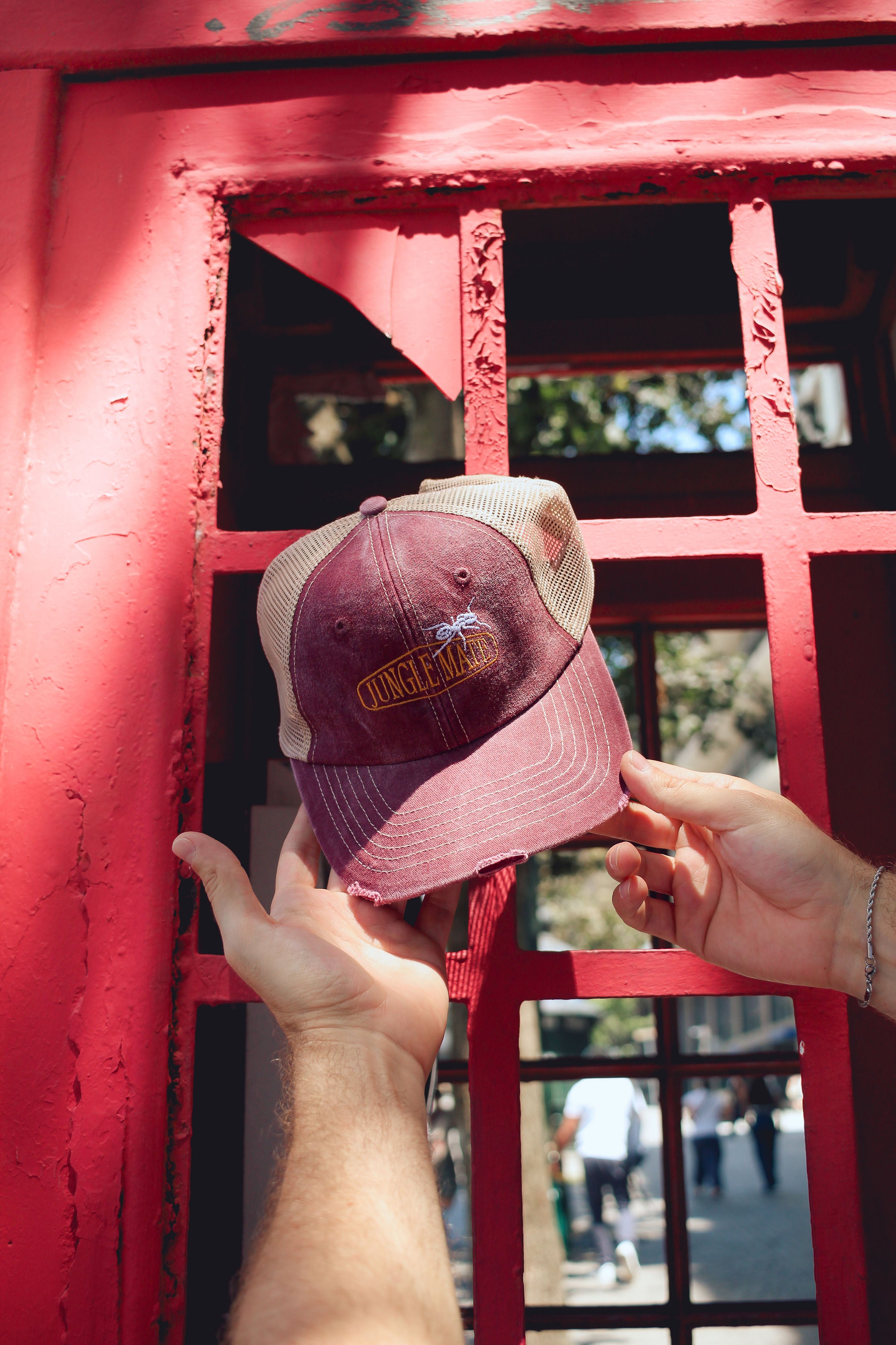 ANT VINTAGE CAP