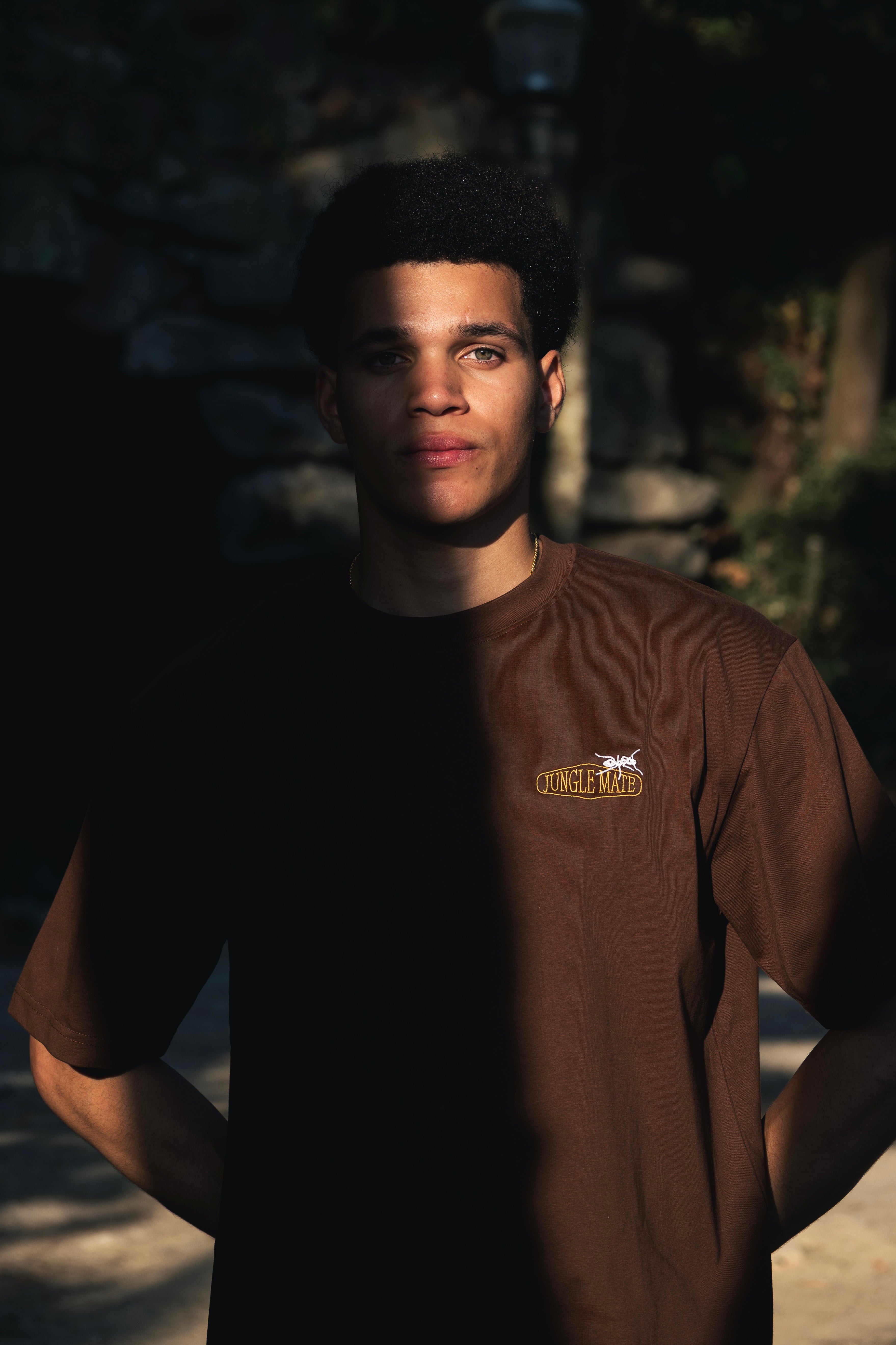 ANT TEE BROWN