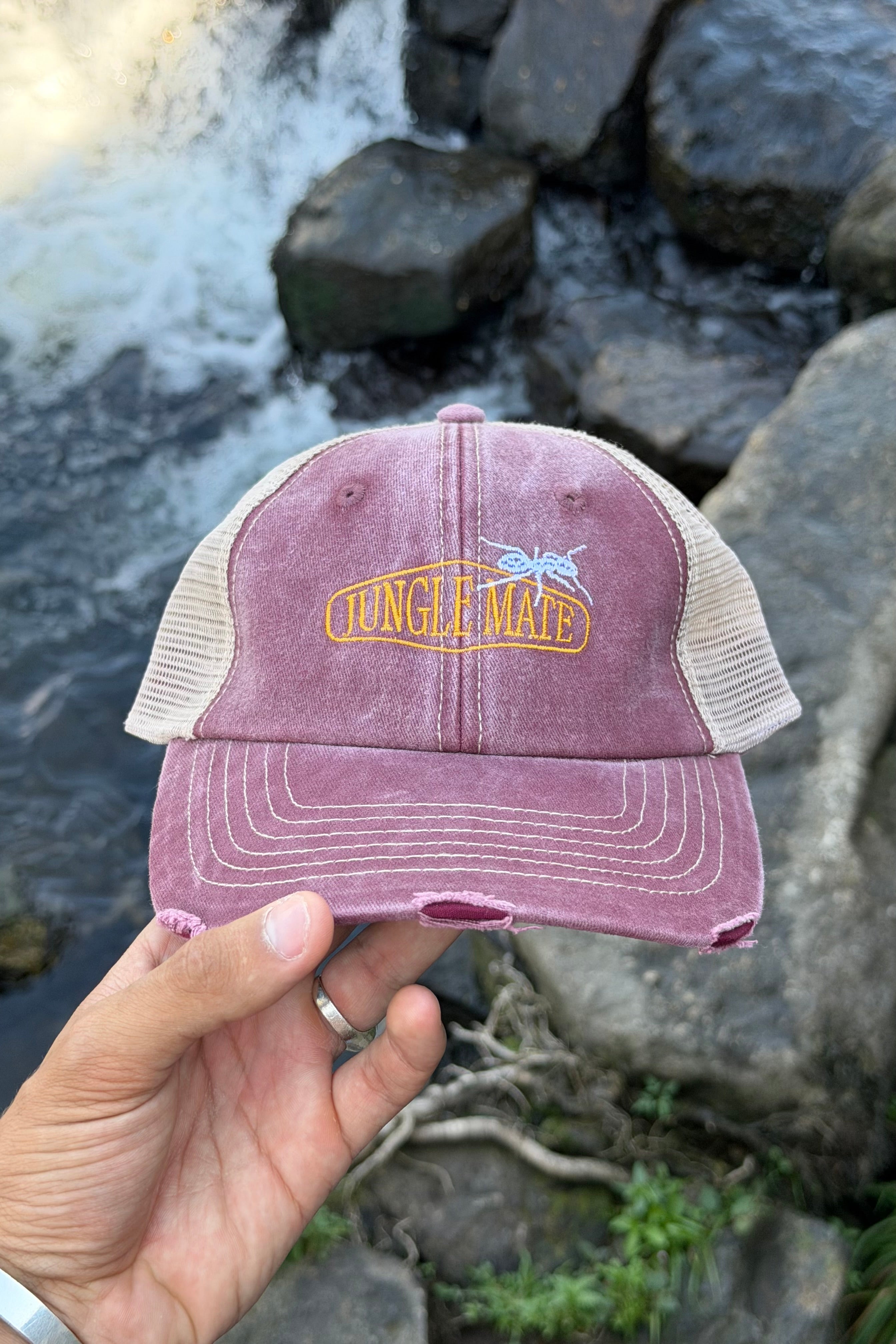 ANT VINTAGE CAP