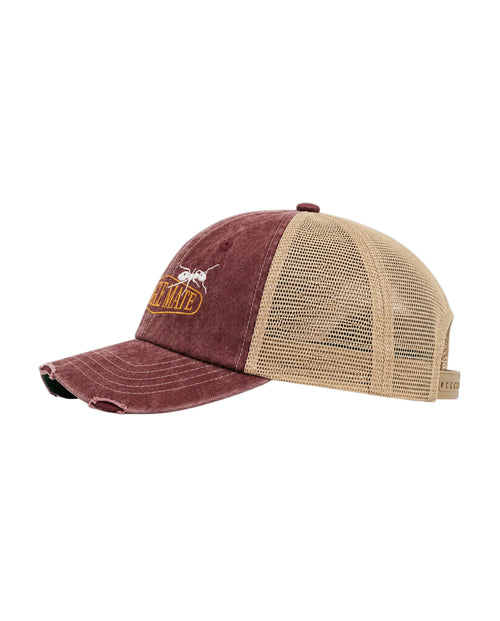 ANT VINTAGE CAP