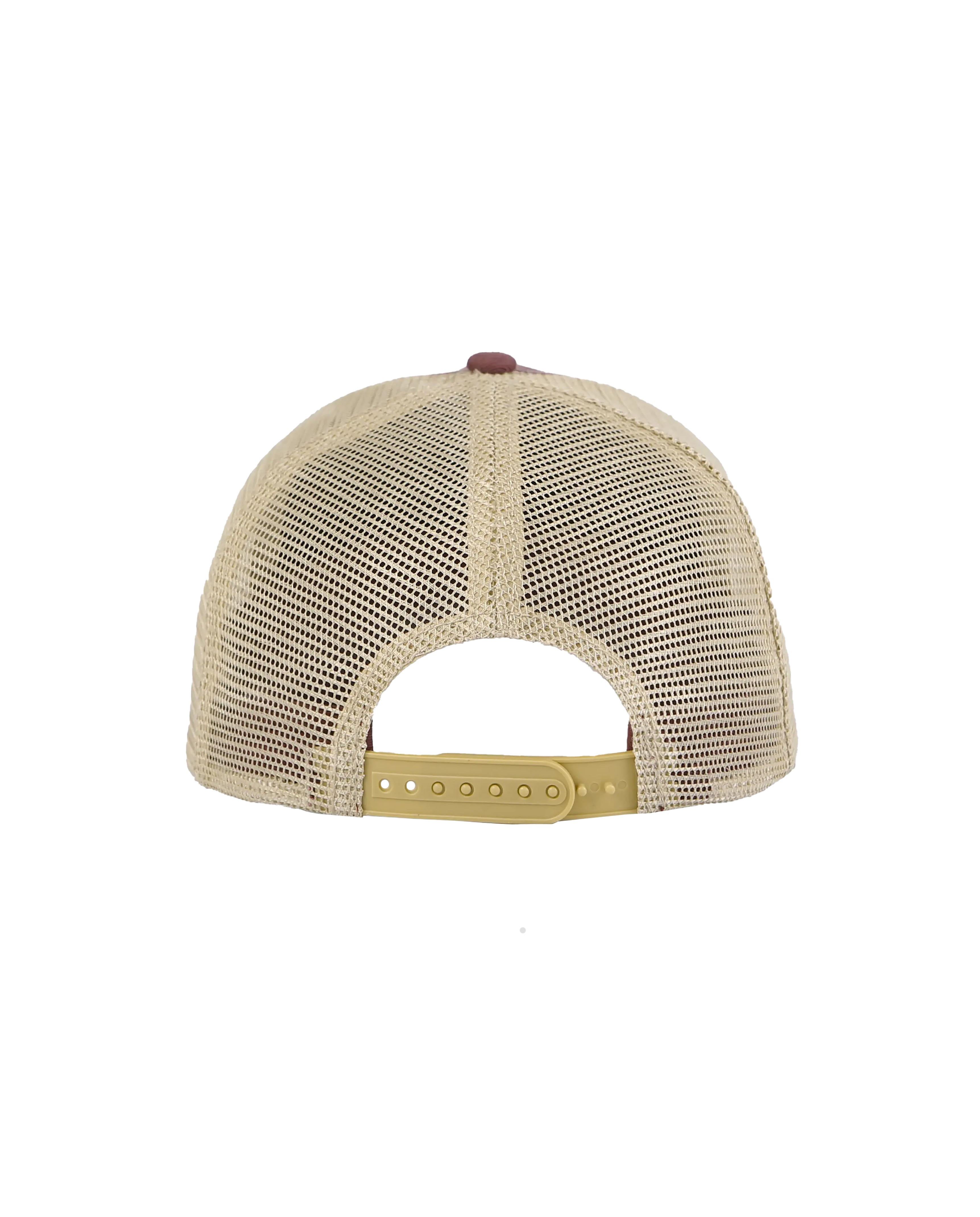 ANT VINTAGE CAP
