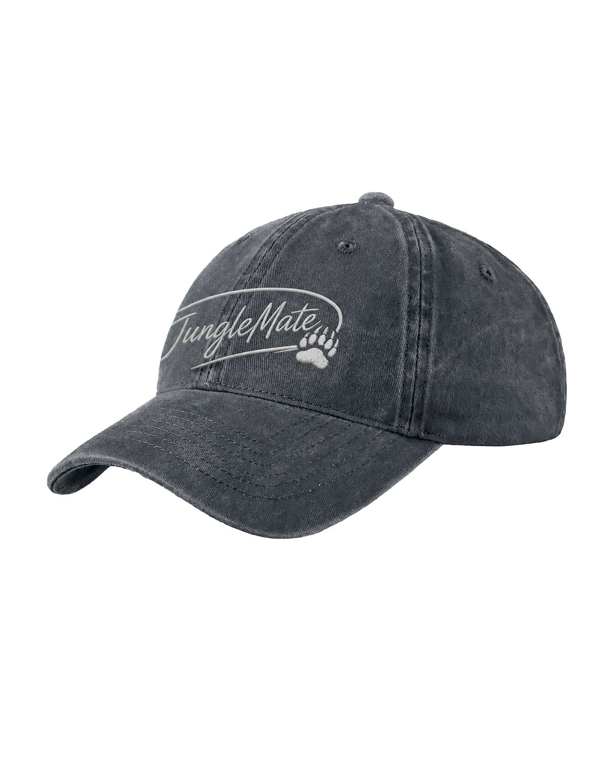 BEAR WASHED CAP