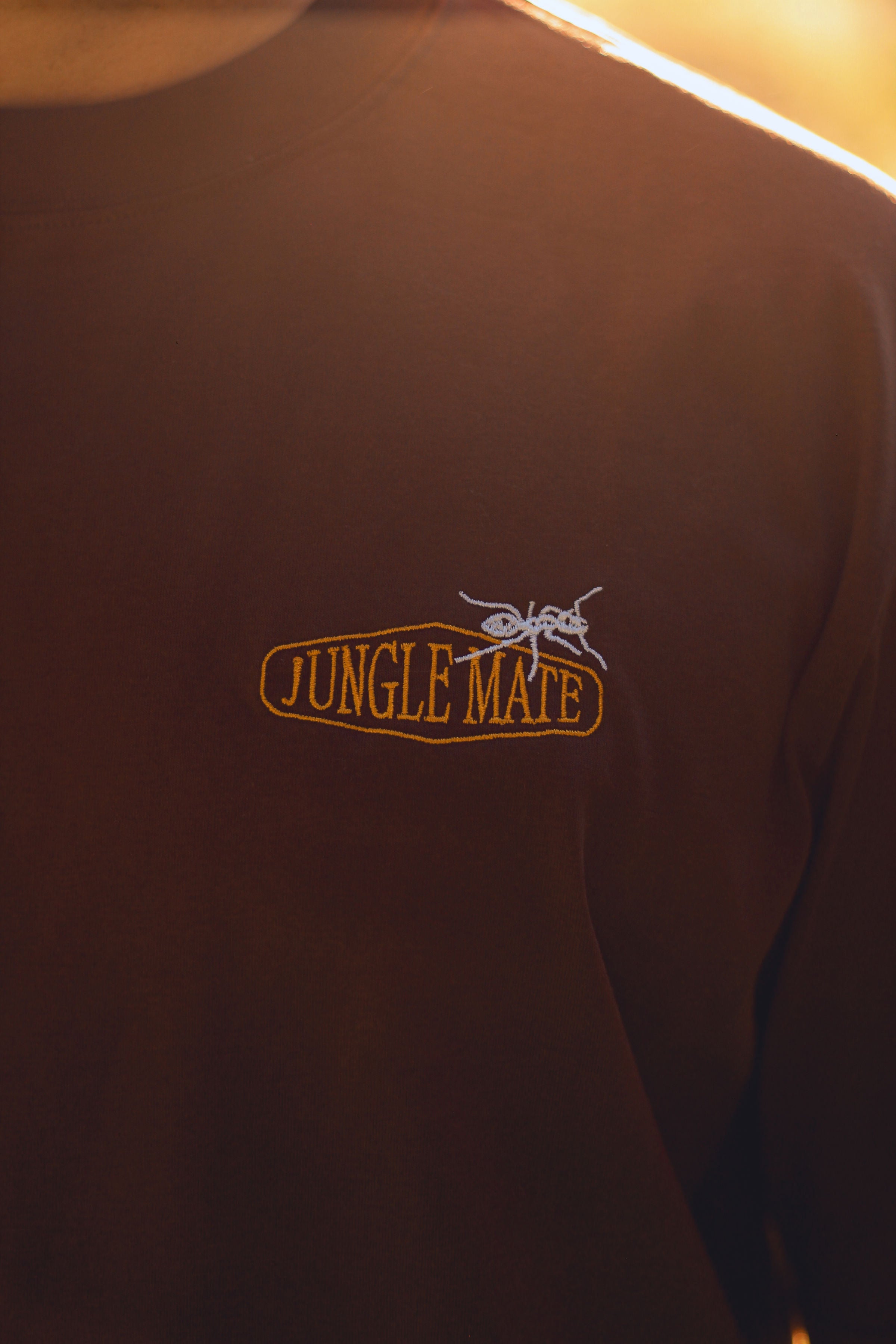 ANT TEE BROWN